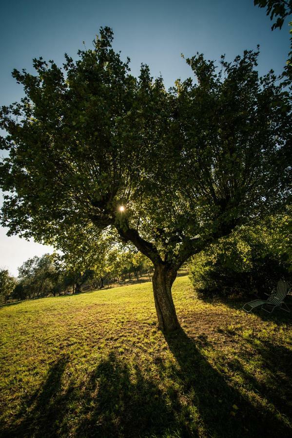 Podere Belvedere Tuscany Villa Понтасиеве Екстериор снимка